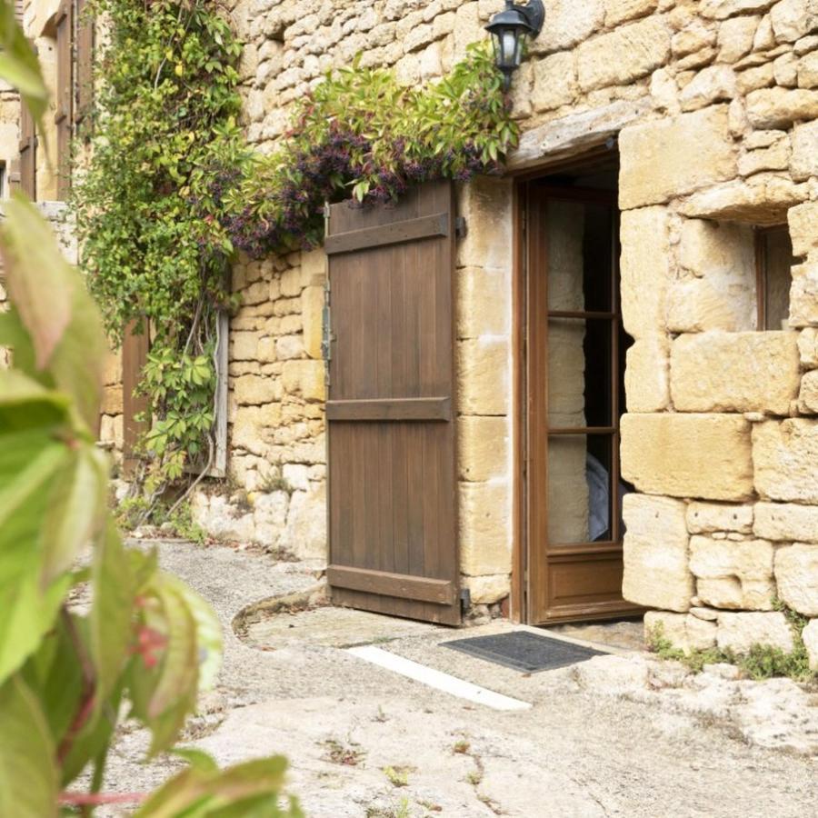Domaine De Cantegrel - Gites De Charme Et Suite Troglodyte En Perigord Vitrac  Bagian luar foto