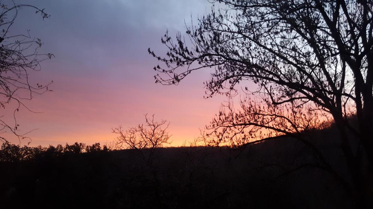 Domaine De Cantegrel - Gites De Charme Et Suite Troglodyte En Perigord Vitrac  Bagian luar foto