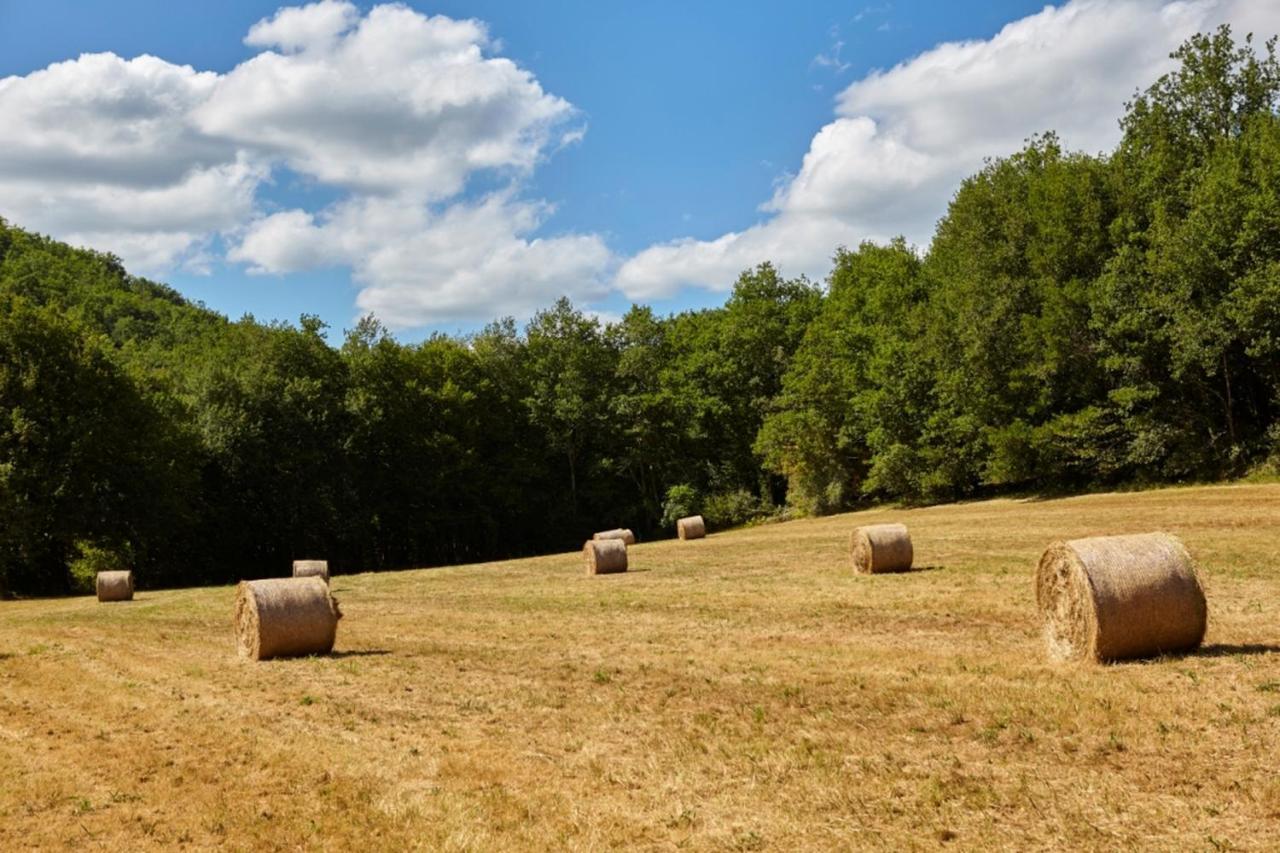Domaine De Cantegrel - Gites De Charme Et Suite Troglodyte En Perigord Vitrac  Bagian luar foto