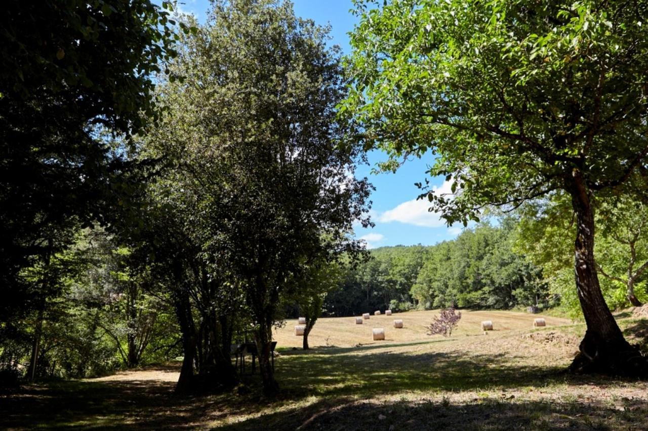 Domaine De Cantegrel - Gites De Charme Et Suite Troglodyte En Perigord Vitrac  Bagian luar foto