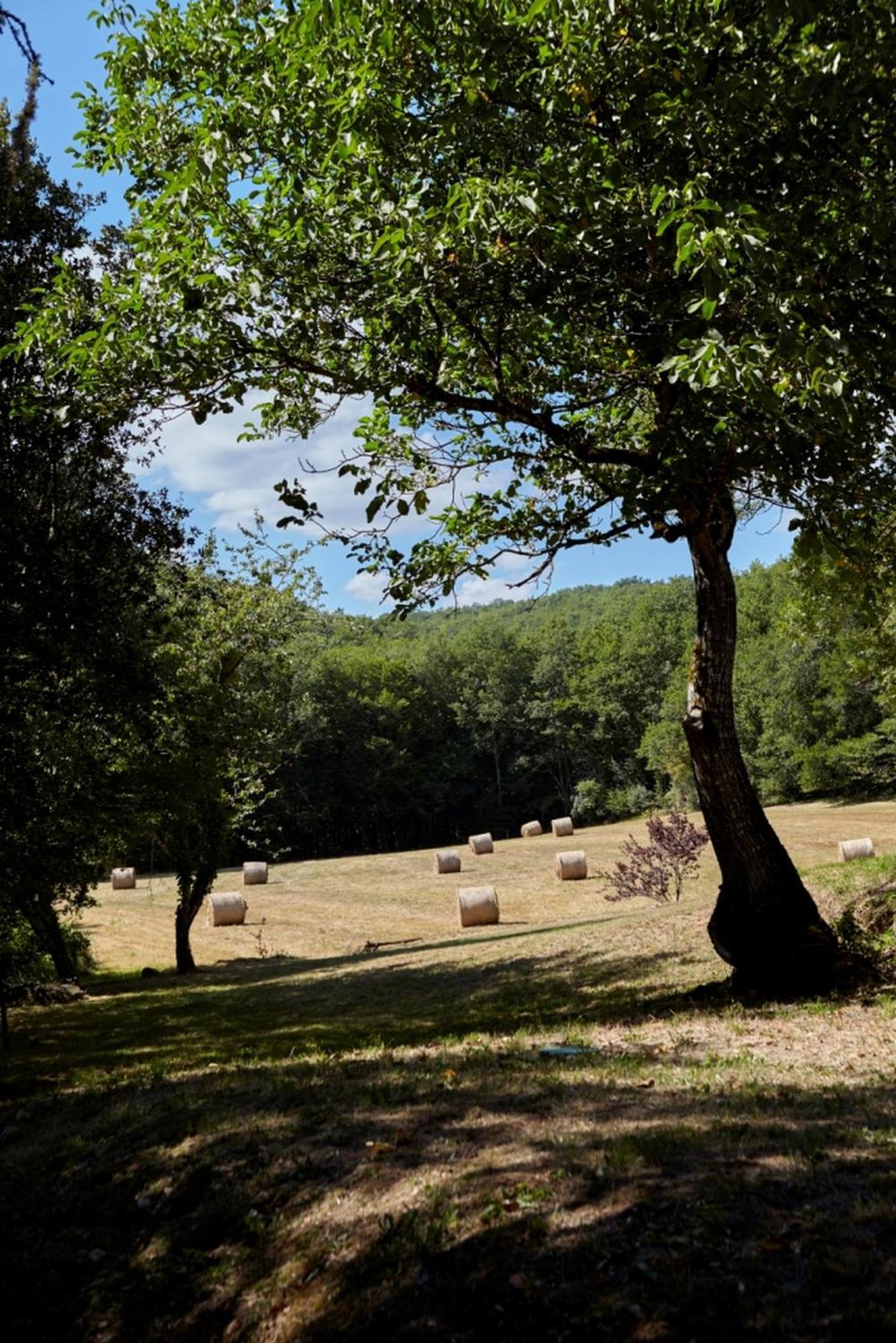 Domaine De Cantegrel - Gites De Charme Et Suite Troglodyte En Perigord Vitrac  Bagian luar foto